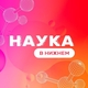 Хаос как система. Интеллект как вызов. Нижний как точка притяжения